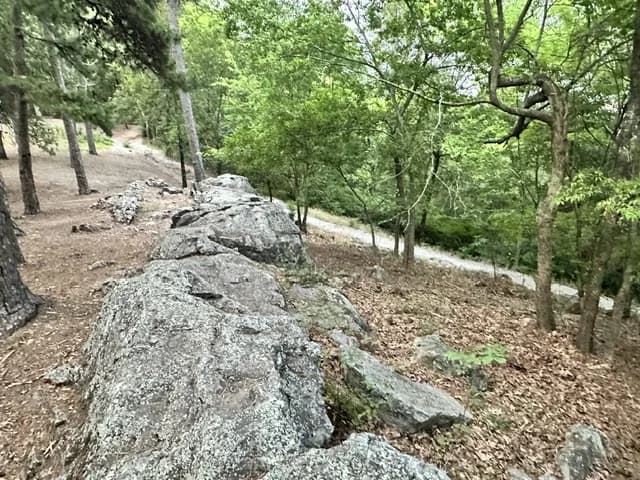 Exposed rock running through the woods on Hot Springs Mountain