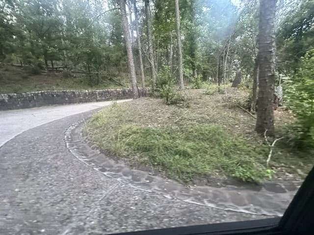Hairpin curve on Hot Springs Mountain Drive through the woods