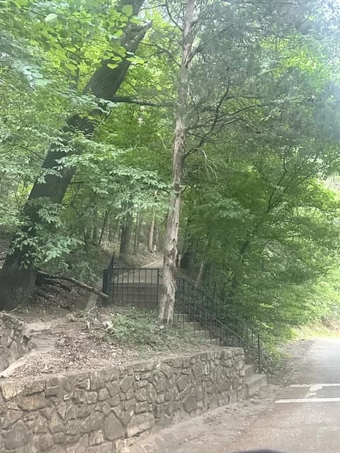 Stone steps and railing leading into the woods beside Hot Springs Mountain Drive