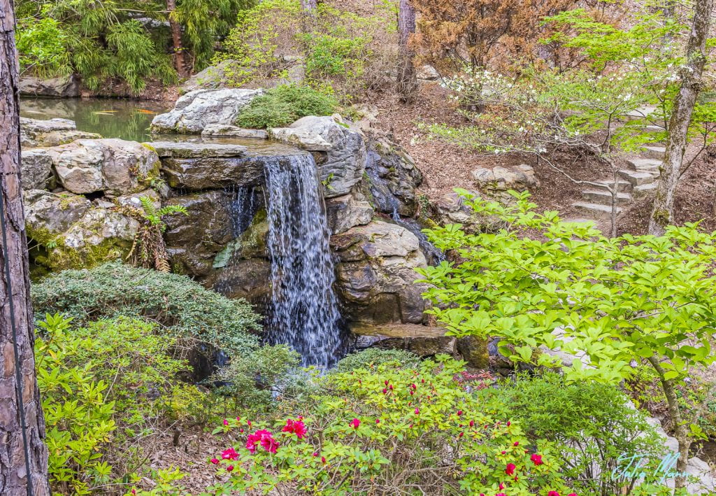 Garvan Woodland Gardens