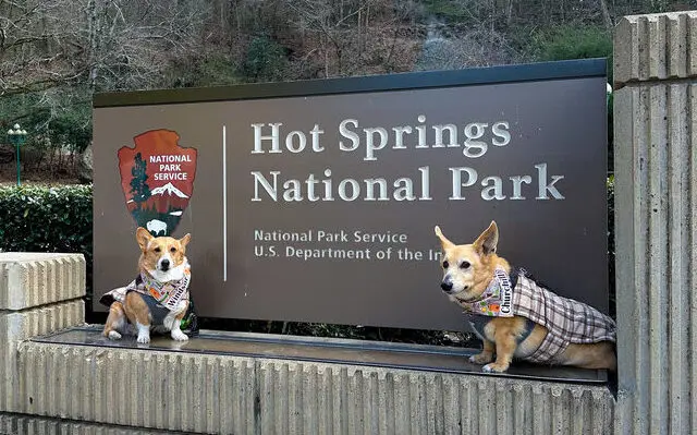 Dog parks, trails, patios, and pet-friendly planning around Hot Springs.