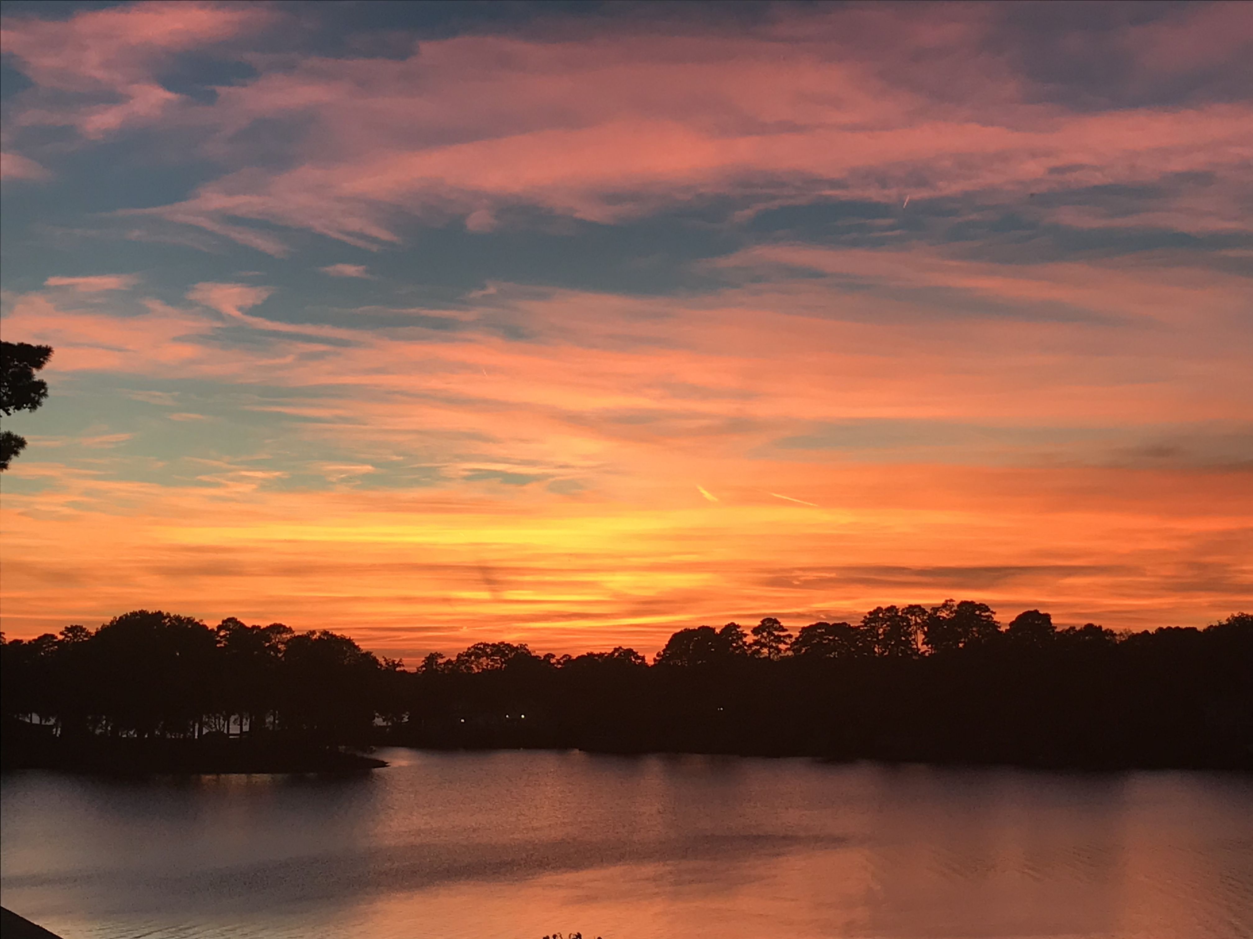 Lake Hamilton Cabins & Places to Stay